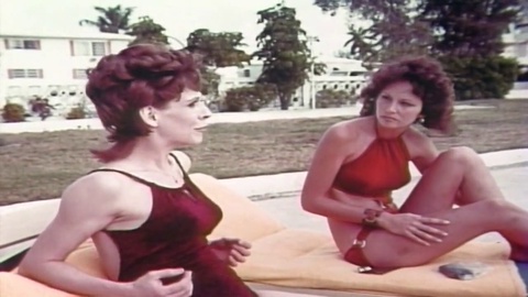 Linda Lovelace et Carol Connors dans leur rôle principal dans le film pornographique complet 67.