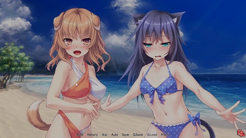 Anime bikini, bikini beach, private emotion anime